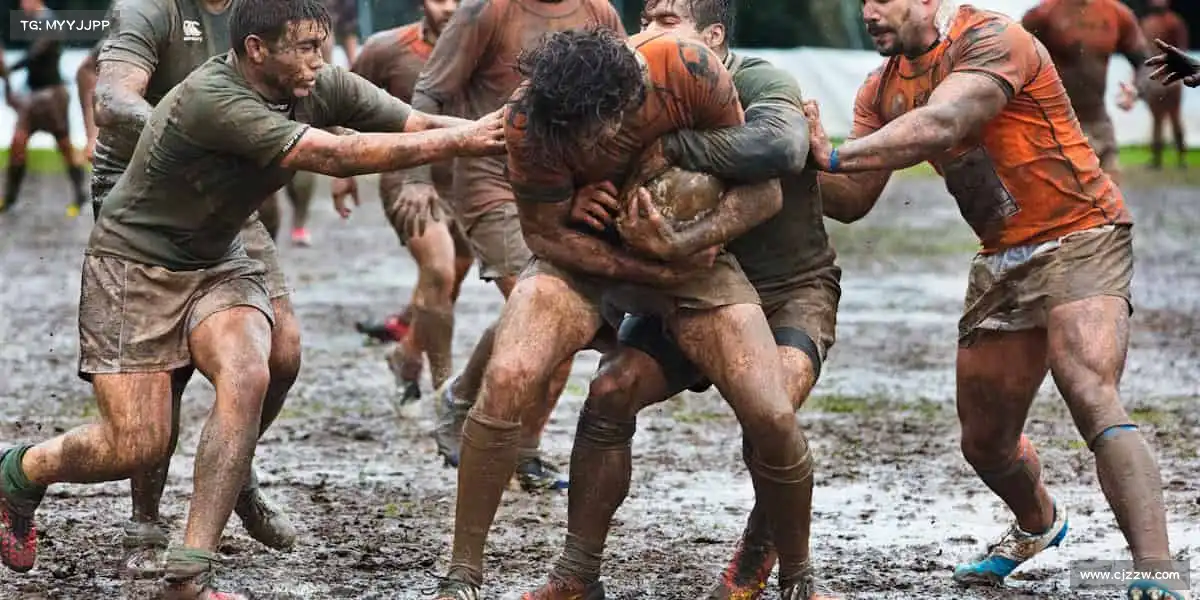 我们的核心竞争力